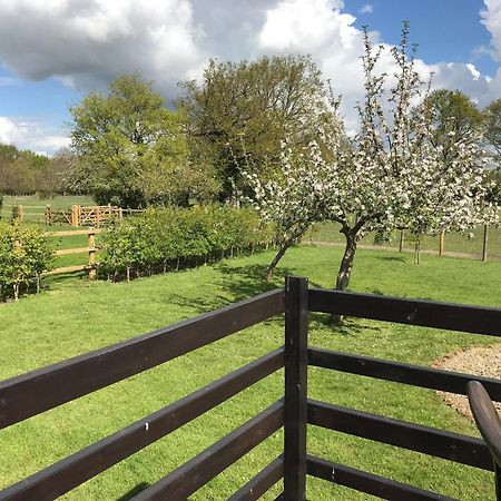 Maplehurst Barn Stables Staplehurst Εξωτερικό φωτογραφία