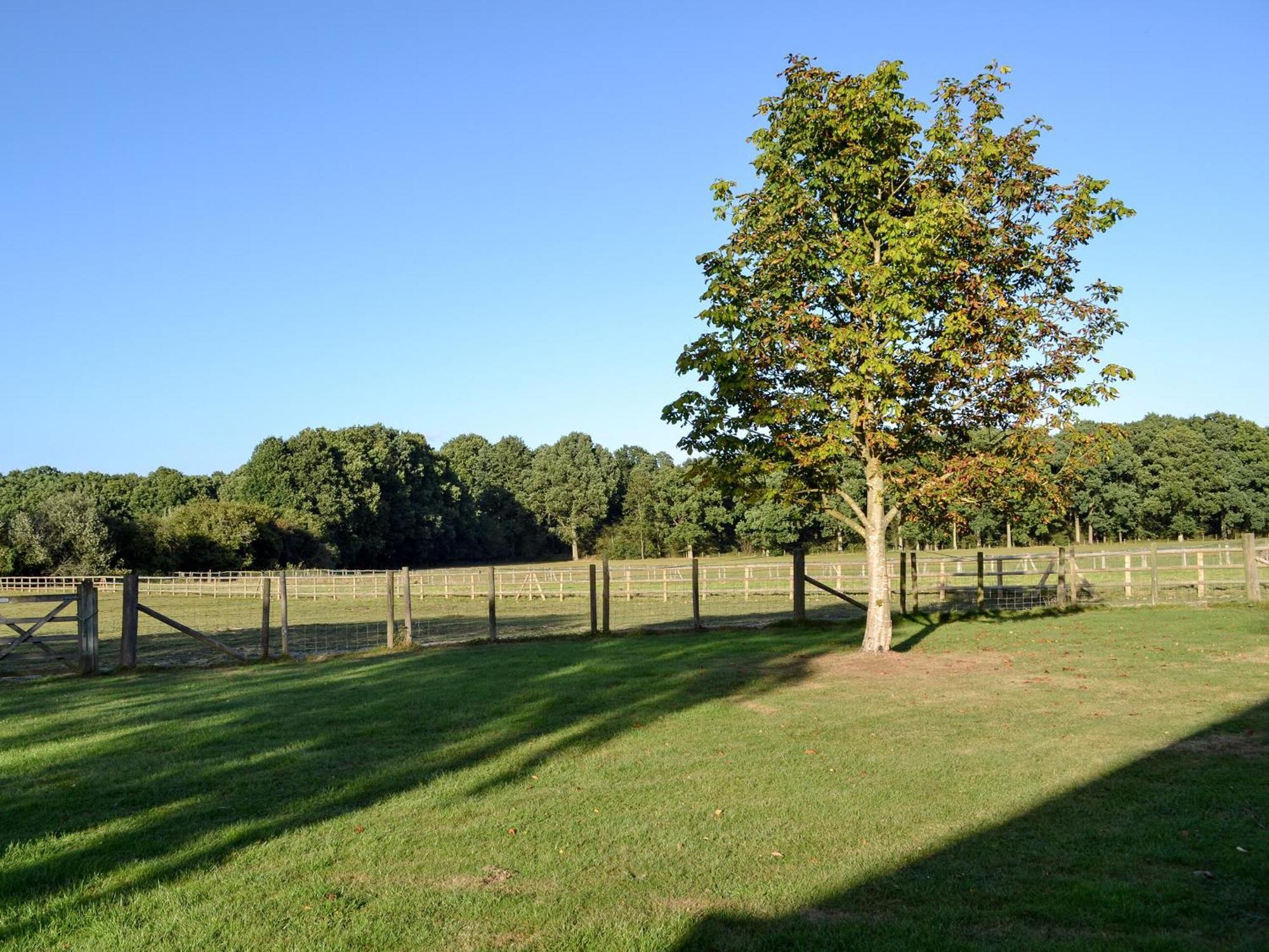 Maplehurst Barn Stables Staplehurst Εξωτερικό φωτογραφία