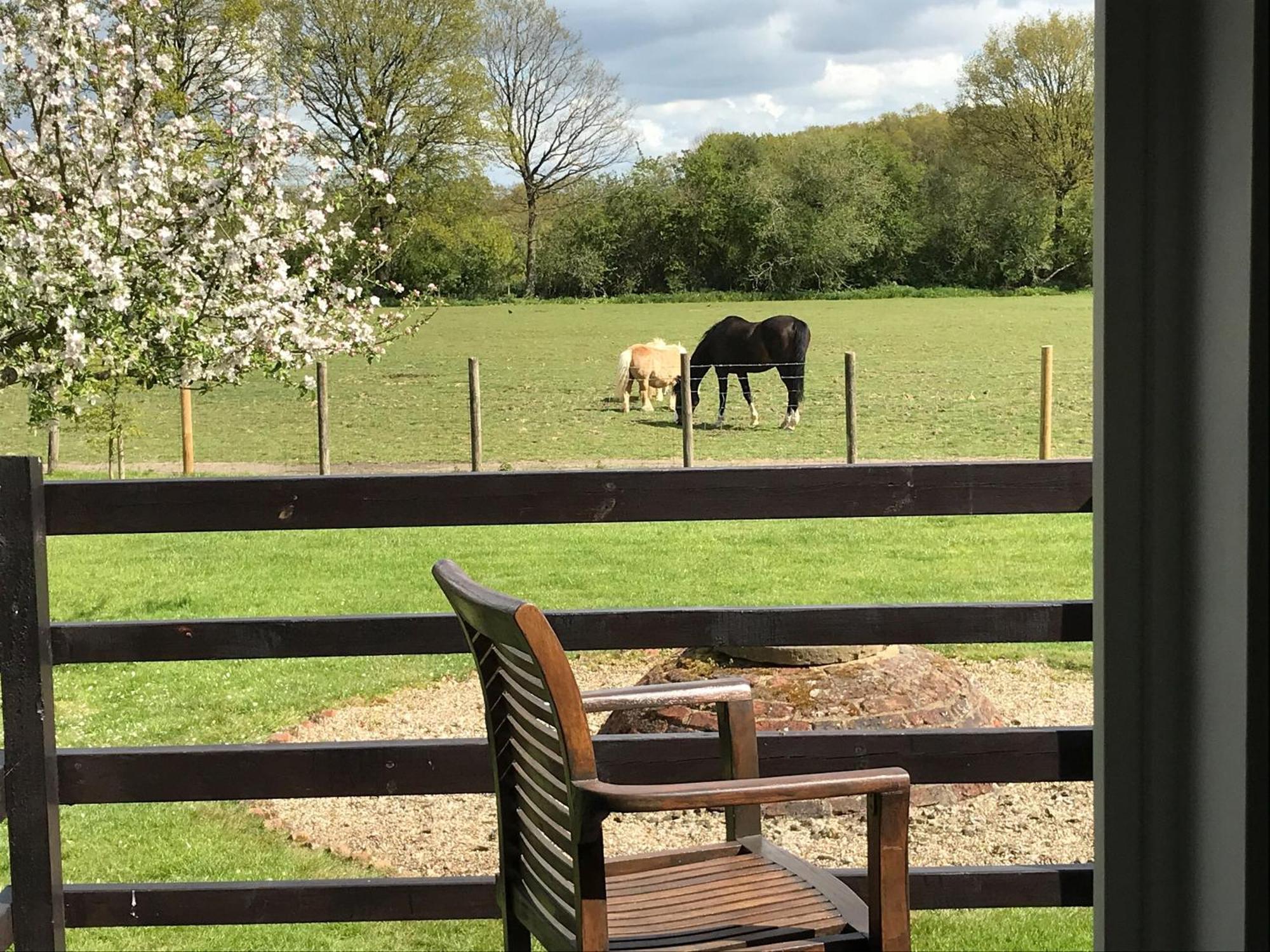 Maplehurst Barn Stables Staplehurst Εξωτερικό φωτογραφία